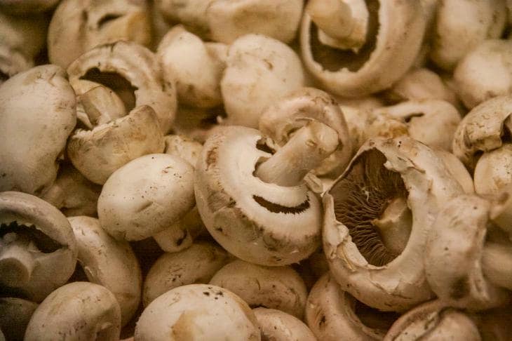 Wat er gebeurt als je champignons roostert in een kleine ruimte: waarom de pan half leeg moet zijn
